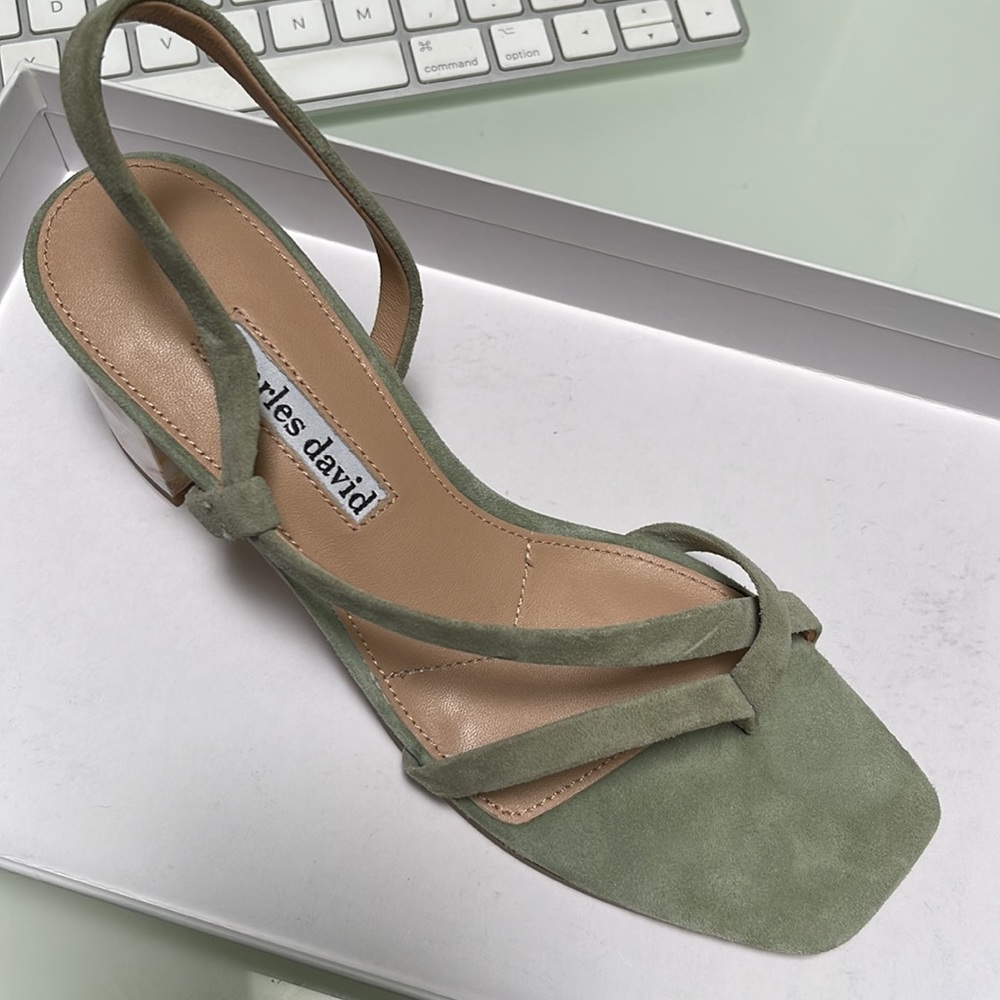 Charles David Clay Strappy Suede Leather Sandal.6.5 (NWT)